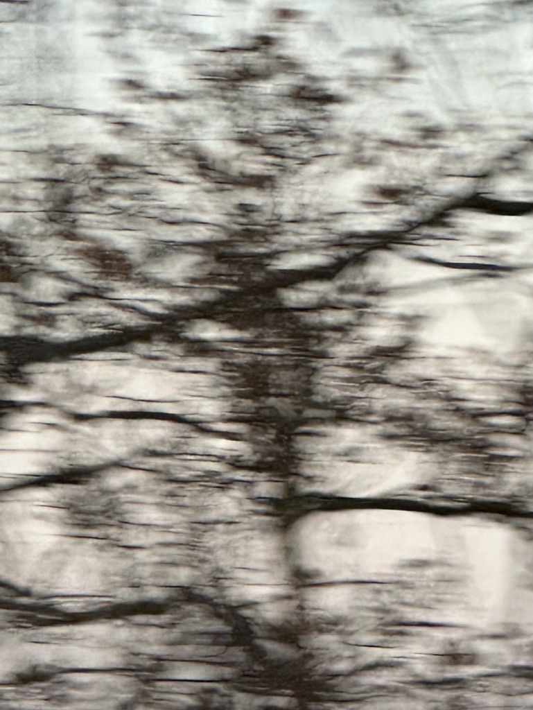 443939A4-C928-489D-89A3-8F646FD719F5_1_105_c