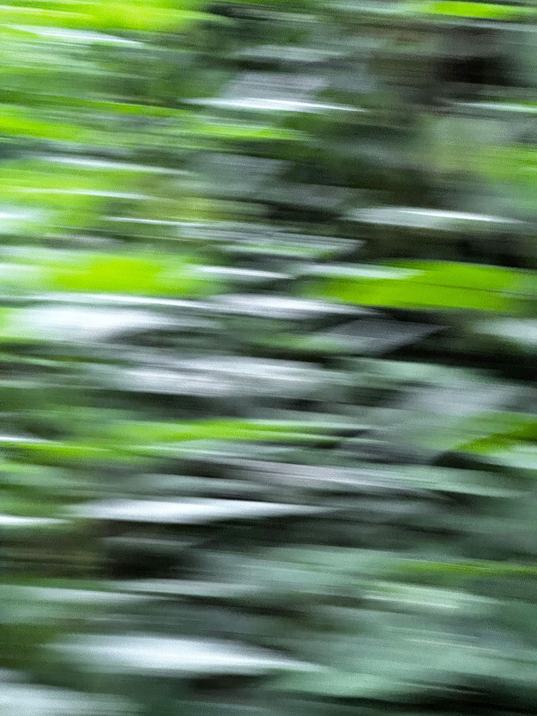 IMG_6104-2